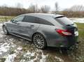 Mercedes-Benz CLS 350 CLS Shooting Brake 350 (BlueTEC) d 9G-TRONIC Grau - thumbnail 1