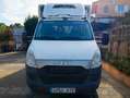 Iveco Daily 65C17 bijela - thumbnail 8