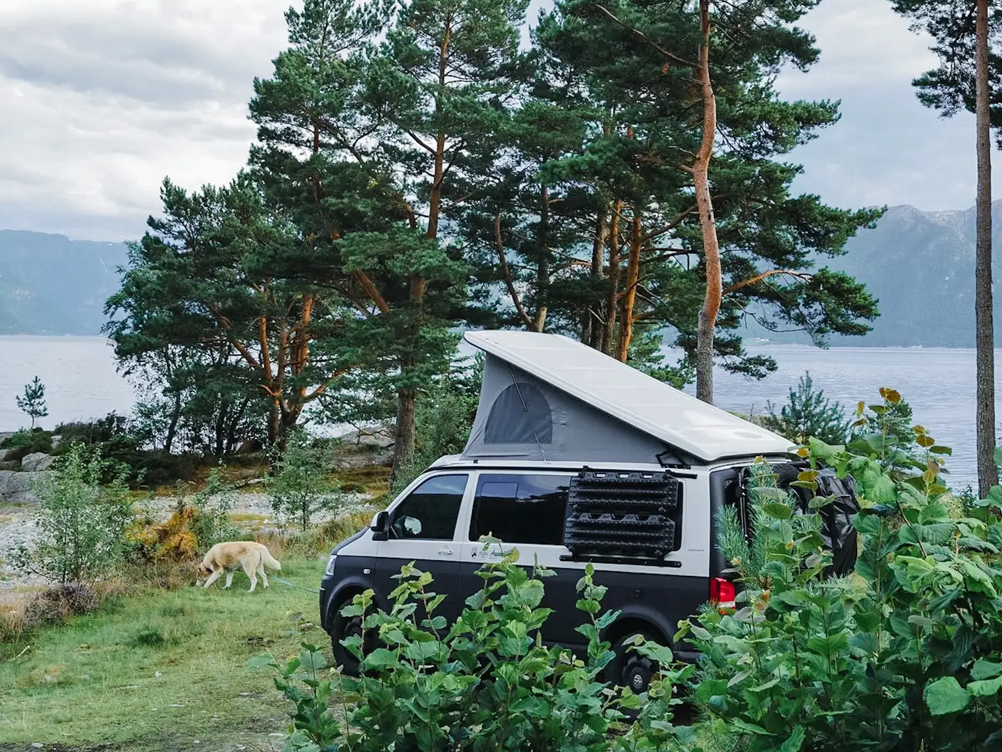 Volkswagen T5 Camper (MostVanted Ausbau!) - LR, 4motion, DSG Weiß - 1
