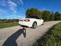 Fiat 124 Spider 124 Spider 1.4 M-Air T Ann. - thumbnail 14