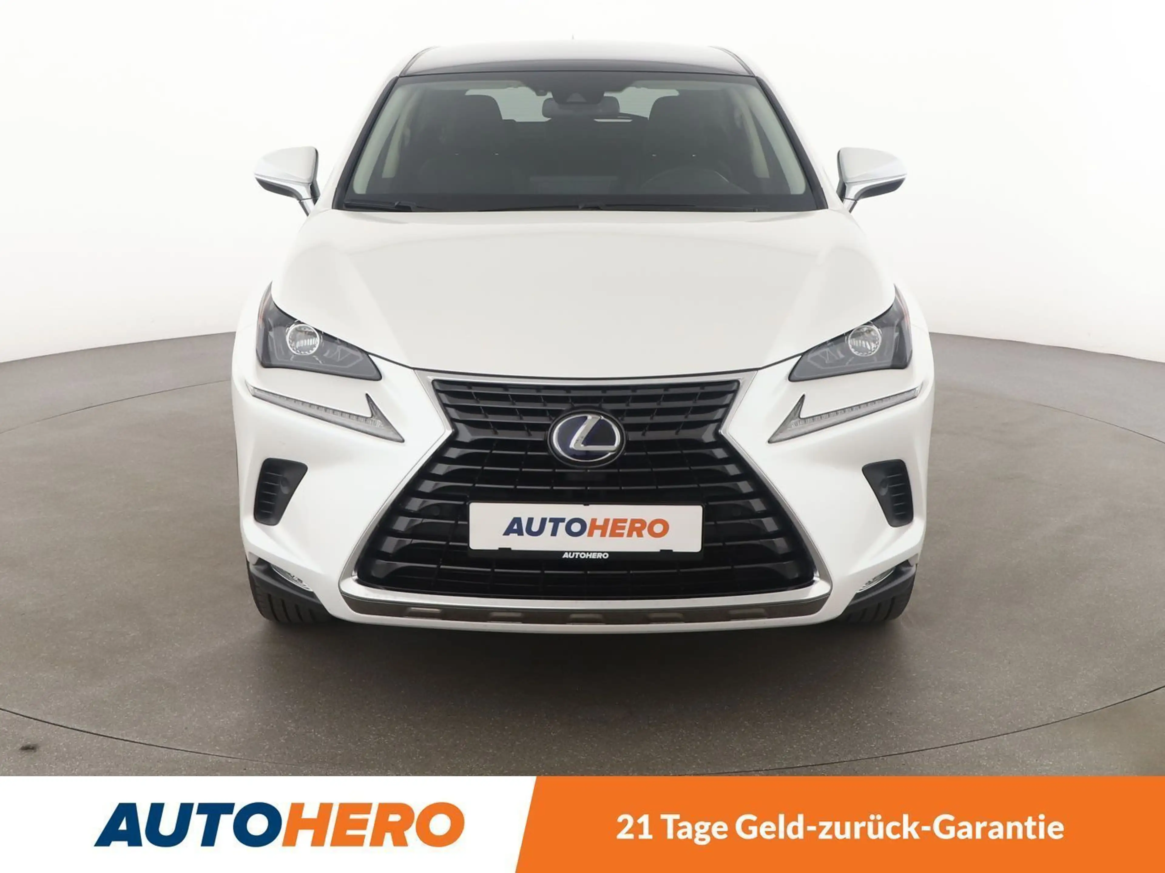 Lexus NX 300h NX 300h E-Four Executive Line Aut.*NAVI*PDC* — photo 9