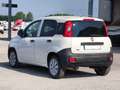 Fiat Panda 1.3 MJT AUTOCARRO 2 POSTI Bianco - thumbnail 8