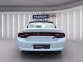 Dodge Charger *Finanzierung*Garantie* Wit - thumbnail 4