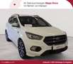 Ford Kuga Kuga 2.0 TDCi 4x4 Aut. ST-Line Weiß - thumbnail 1