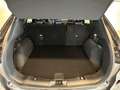 Ford Kuga ST-Line X 1.5 EcoBoost EU6d Grau - thumbnail 7