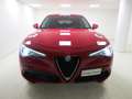 Alfa Romeo Stelvio Stelvio 2.2 t Business rwd 160cv auto my19 Rosso - thumbnail 2