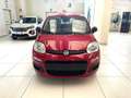 Fiat Panda 1.0 FireFly S&S Hybrid Rosso - thumbnail 8