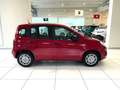 Fiat Panda 1.0 FireFly S&S Hybrid Rosso - thumbnail 3