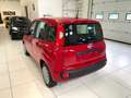 Fiat Panda 1.0 FireFly S&S Hybrid Rosso - thumbnail 6
