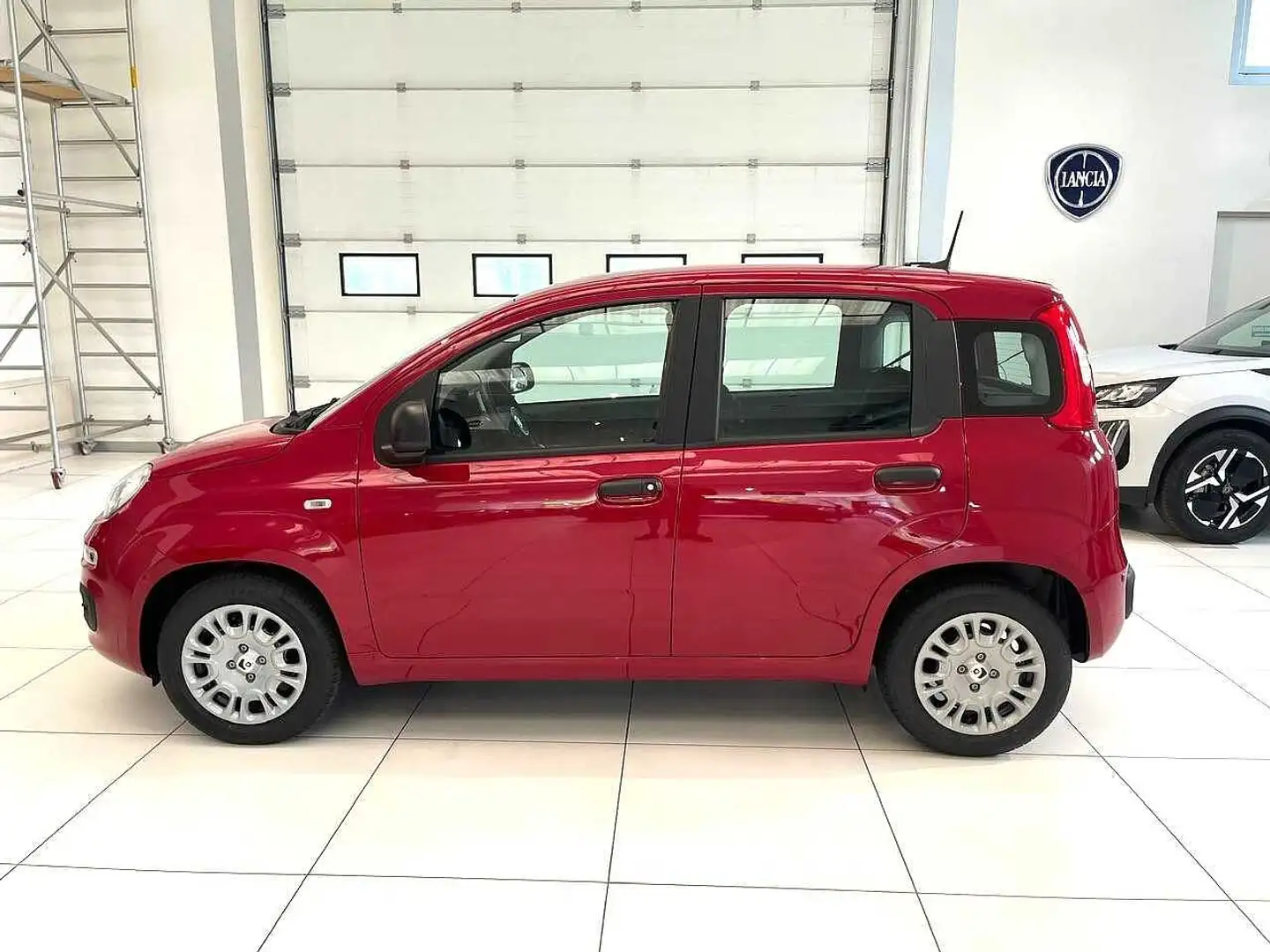Fiat Panda 1.0 FireFly S&S Hybrid Czerwony - 2