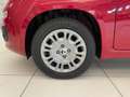 Fiat Panda 1.0 FireFly S&S Hybrid Rosso - thumbnail 9
