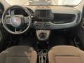 Fiat Panda 1.0 FireFly S&S Hybrid Rosso - thumbnail 12