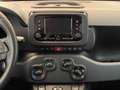 Fiat Panda 1.0 FireFly S&S Hybrid Rosso - thumbnail 14