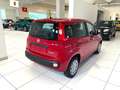 Fiat Panda 1.0 FireFly S&S Hybrid Rosso - thumbnail 4