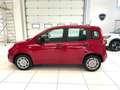 Fiat Panda 1.0 FireFly S&S Hybrid Rosso - thumbnail 2