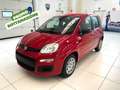 Fiat Panda 1.0 FireFly S&S Hybrid Rosso - thumbnail 1