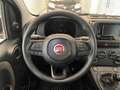 Fiat Panda 1.0 FireFly S&S Hybrid Rosso - thumbnail 13