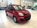 Fiat Panda 1.0 FireFly S&S Hybrid Rosso - thumbnail 7