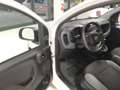 Fiat Panda 900cc 85Cv Van Eu6d 4X4 2p.POP Weiß - thumbnail 9