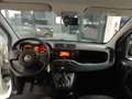 Fiat Panda 900cc 85Cv Van Eu6d 4X4 2p.POP Weiß - thumbnail 14