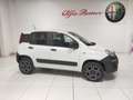Fiat Panda 900cc 85Cv Van Eu6d 4X4 2p.POP Weiß - thumbnail 4