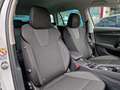 Skoda Octavia S.W.2.0TDI150Cv Ambition 4x4 LED ACC Navi-Columbus Blanc - thumbnail 9