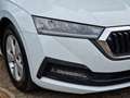 Skoda Octavia S.W.2.0TDI150Cv Ambition 4x4 LED ACC Navi-Columbus Blanc - thumbnail 6