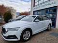 Skoda Octavia S.W.2.0TDI150Cv Ambition 4x4 LED ACC Navi-Columbus Blanc - thumbnail 1