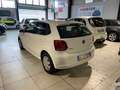 Volkswagen Polo Polo V 2009 5p 1.2 tdi Trendline Bianco - thumbnail 5