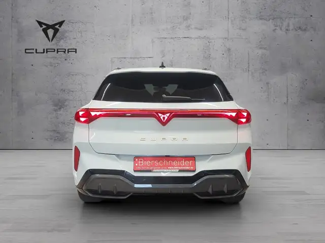 Cupra Terramar view 9