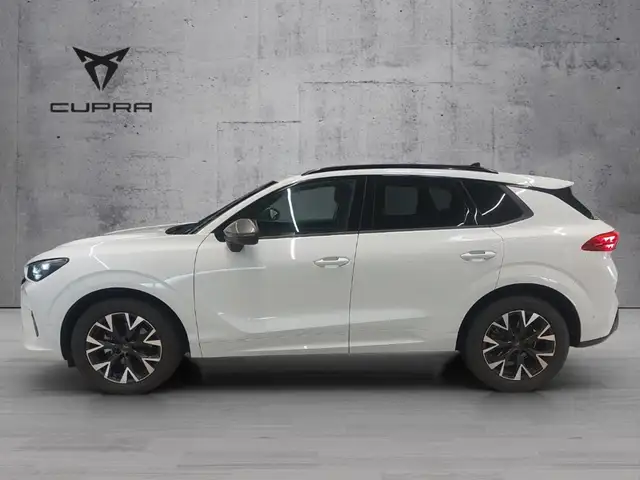Cupra Terramar view 4
