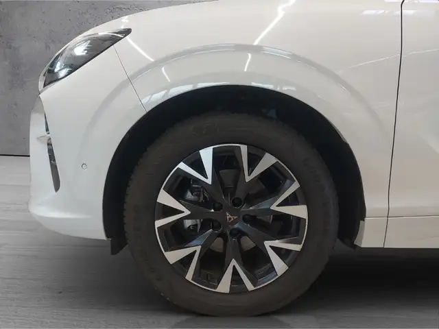 Cupra Terramar view 5