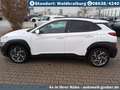Hyundai KONA 1.6 Automatik Hybrid EDITION 30+ Weiß - thumbnail 9