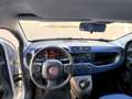 Fiat Panda 1.2 Easy 69cv OK PER NEOPATENTATI Argento - thumbnail 10