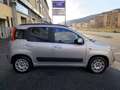 Fiat Panda 1.2 Easy 69cv OK PER NEOPATENTATI Argento - thumbnail 6