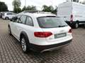 Audi A4 allroad 2.0 TDI F.AP. Advanced Pelle/Xeno/Navi Weiß - thumbnail 4