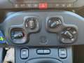 Fiat Panda 1.0 70CV FireFly S&S Hybrid #VARI COLORI Weiß - thumbnail 7