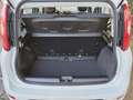 Fiat Panda 1.0 70CV FireFly S&S Hybrid #VARI COLORI Weiß - thumbnail 9