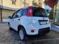 Fiat Panda 1.0 70CV FireFly S&S Hybrid #VARI COLORI Weiß - thumbnail 3