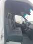 Mercedes-Benz Sprinter - più IVA Bianco - thumbnail 11