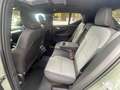 Volvo XC40 B3 Plus Dark Aut. *LED*AHV*GLASDACH* Yeşil - thumbnail 26