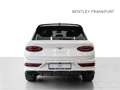 Bentley Bentayga S V8 von BENTLEY FRANKFURT Fehér - thumbnail 4