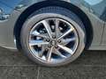 Hyundai i30 PD GO Plus 1.0 TGDI DCT c5bu3 Grün - thumbnail 15