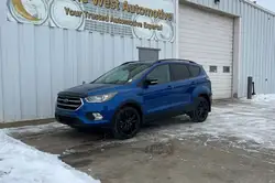 Ford Escape снимка Ford Escape