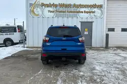 Ford Escape снимка Ford Escape