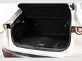 Mazda CX-30 2.0 e-Skyactiv-X Homura FWD 137kW - thumbnail 6