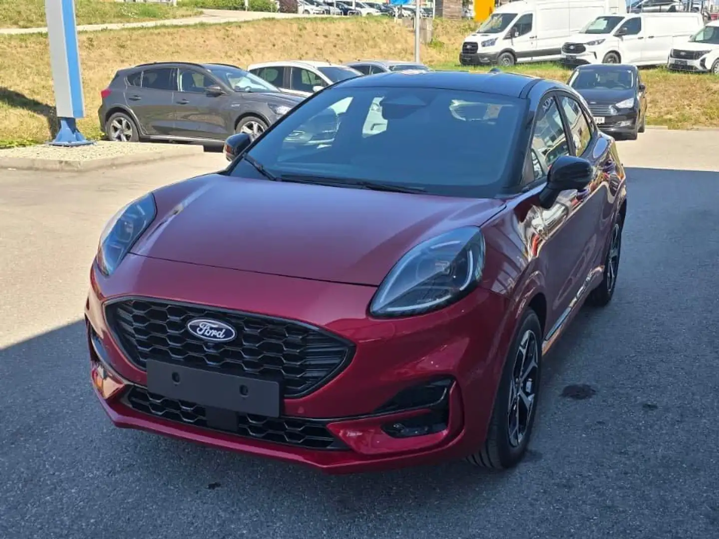 Ford Puma ST-Line Rot - 2