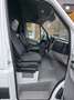 Mercedes-Benz Sprinter 313/316 CDI/H2+L2/2.Stz/KLIMA/1.HAND Weiß - thumbnail 10