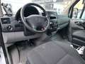 Mercedes-Benz Sprinter 313/316 CDI/H2+L2/2.Stz/KLIMA/1.HAND Weiß - thumbnail 9