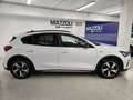 Ford Focus 1.0 EcoBoost Hybrid 125 CV 5p. Active X Bianco - thumbnail 6